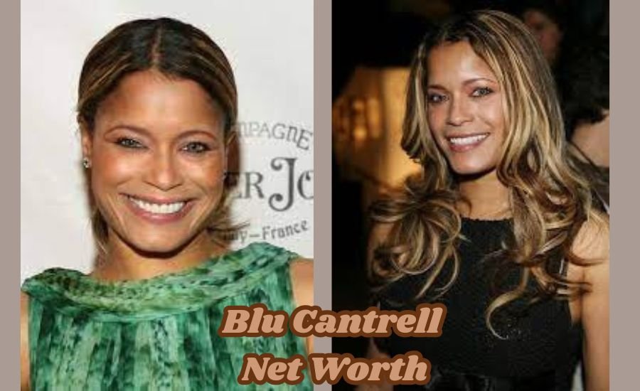 blu cantrell net worth