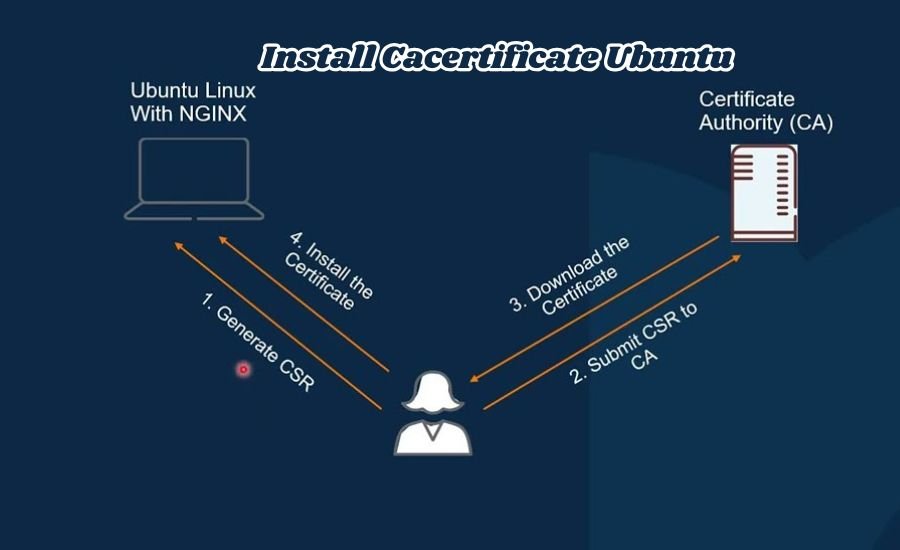 install cacertificate ubuntu
