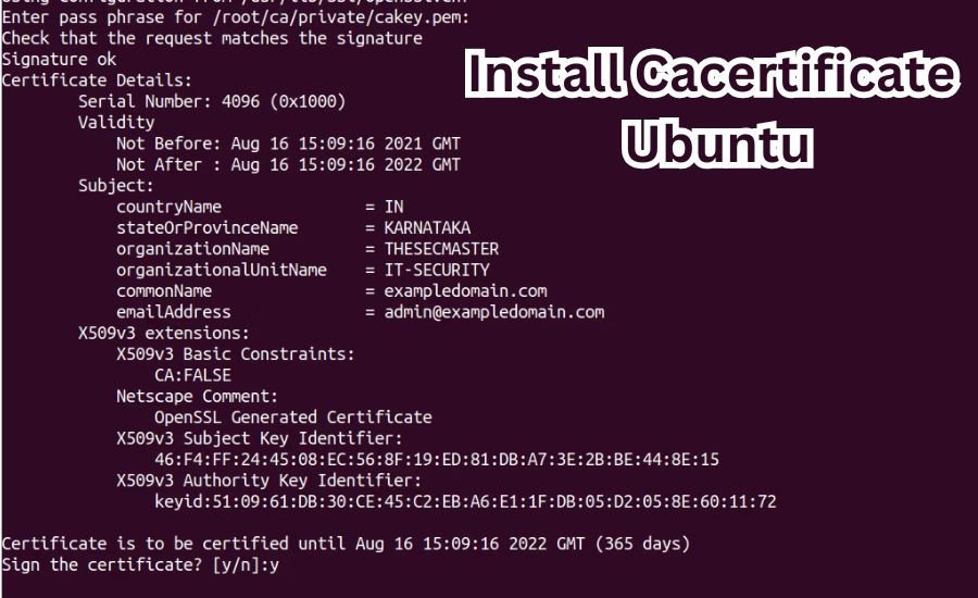 install cacertificate ubuntu