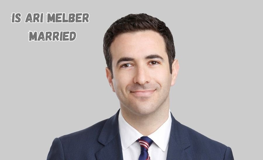 is ari melber married