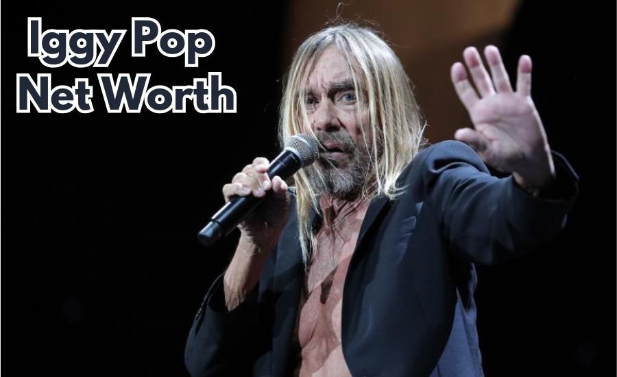 iggy pop net worth