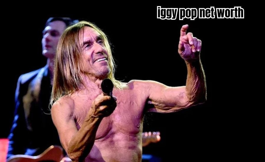 iggy pop net worth