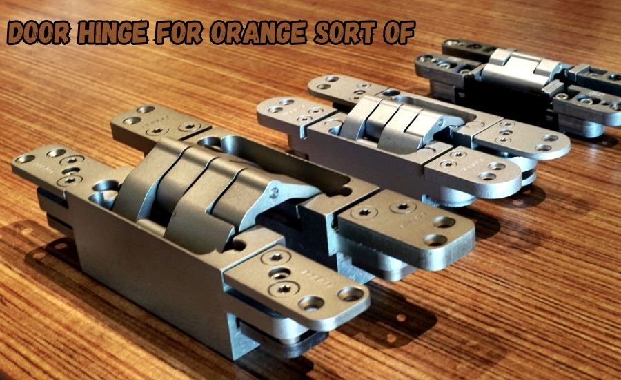 door hinge for orange sort of