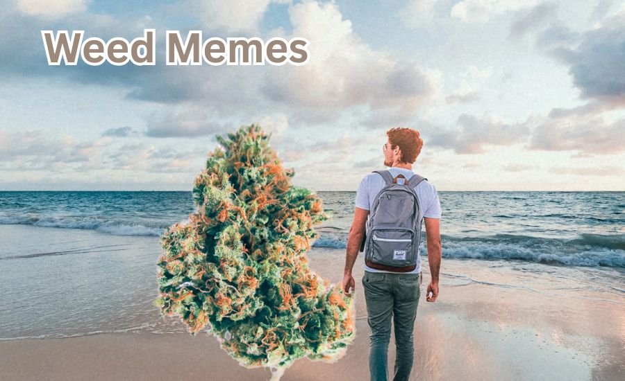 weed memes